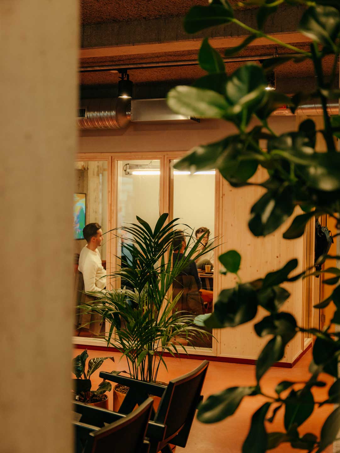 Startup campus leven in Wintercircus, Gent